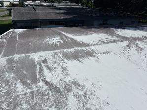 Before & After Roof Washing & Coating in Orlando, FL (1)