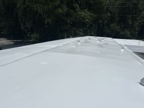 Before & After Roof Washing & Coating in Orlando, FL (2)